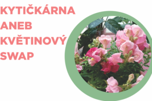 Květinový swap
