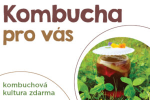 Kombucha pro vás na pobočce V Zálomu