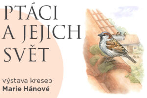 Výstava Ptáci a jejich svět