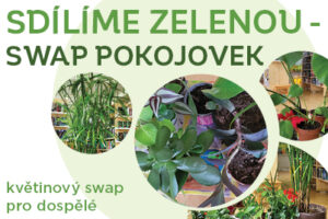květinový swap