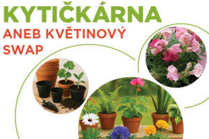 Kytičkárna